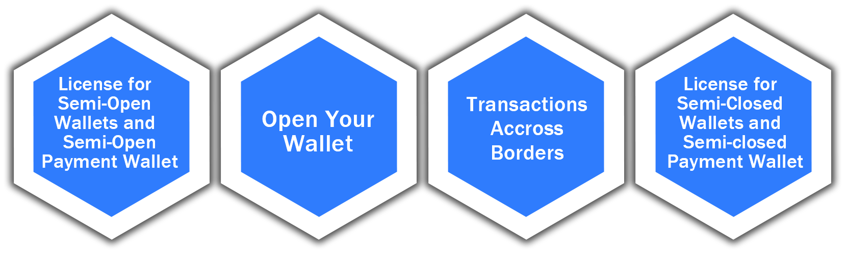 Payment Wallet Licenses of Various Types